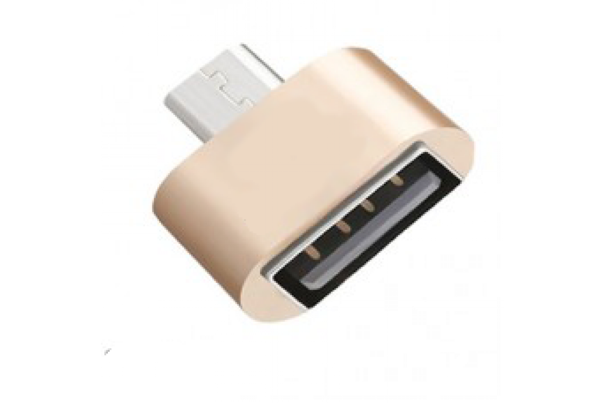 مشخصات، قیمت و خرید آداپتور مبدل USB 2.0 به micro USB ارلدام | 19کالا