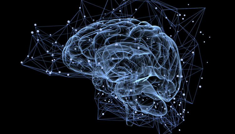 مینی مغزها؛ روشی جدید برای درمان موثر سرطان مغز