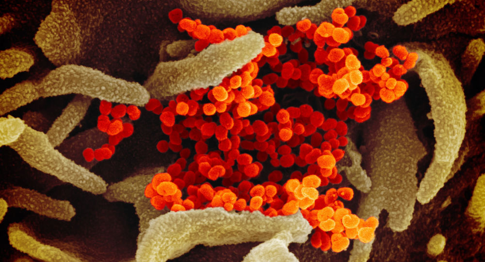 Photo of پادزهرهایی برای جنگ با کرونا: پیشگیری و درمان کرونا ویروس