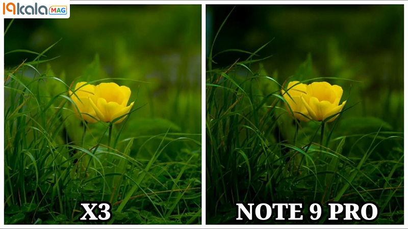 مقایسه دوربین poco x3 با note 9 pro