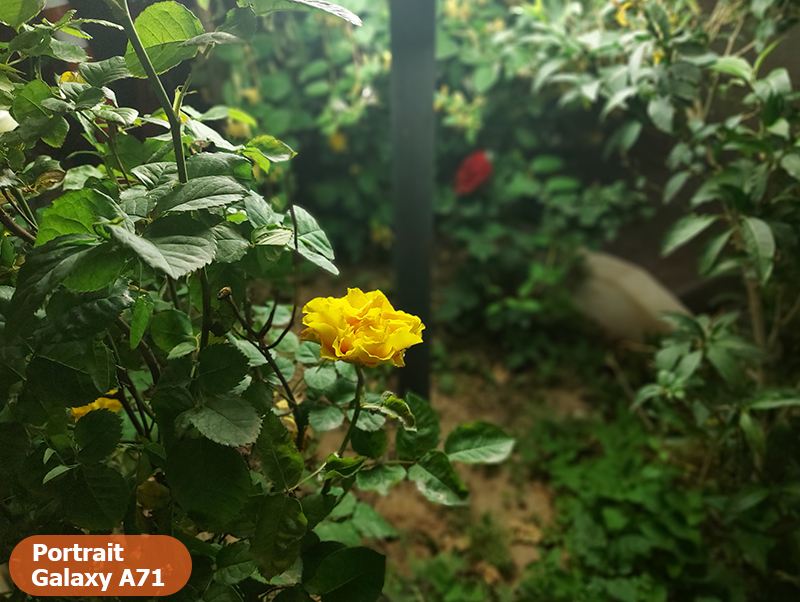 مقایسه مدل های سری a سامسونگ