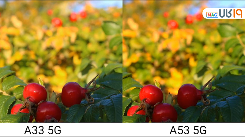 مقایسه a33 با a53 از نظر دوربین
