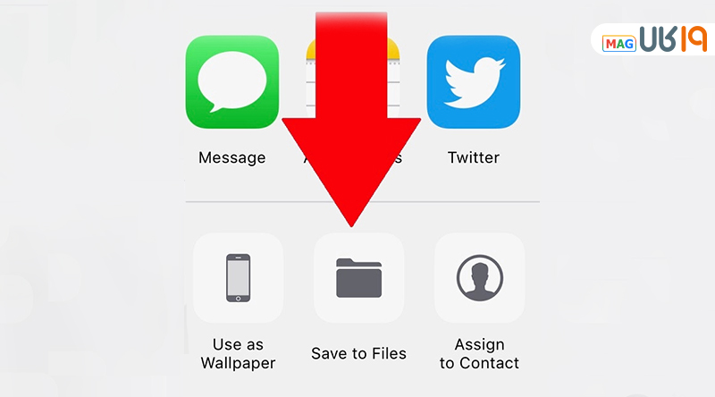 فرستادن عکس به صورت فایل در واتس اپ ایفون