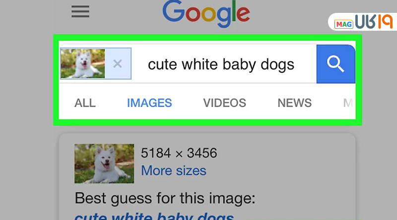 ترفند جستجوی عکس در گوگل