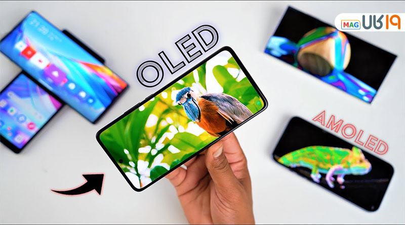 صفحه نمایش oled یا ips