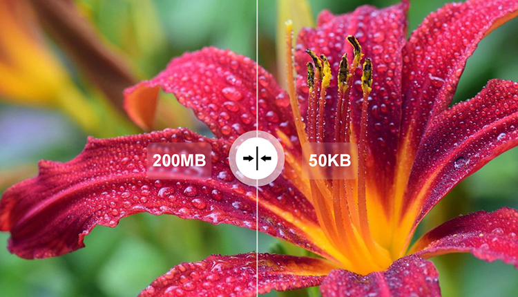 کاهش حجم عکس بدون افت کیفیت با سایت، ابزار آنلاین و بهترین برنامه‌ ها