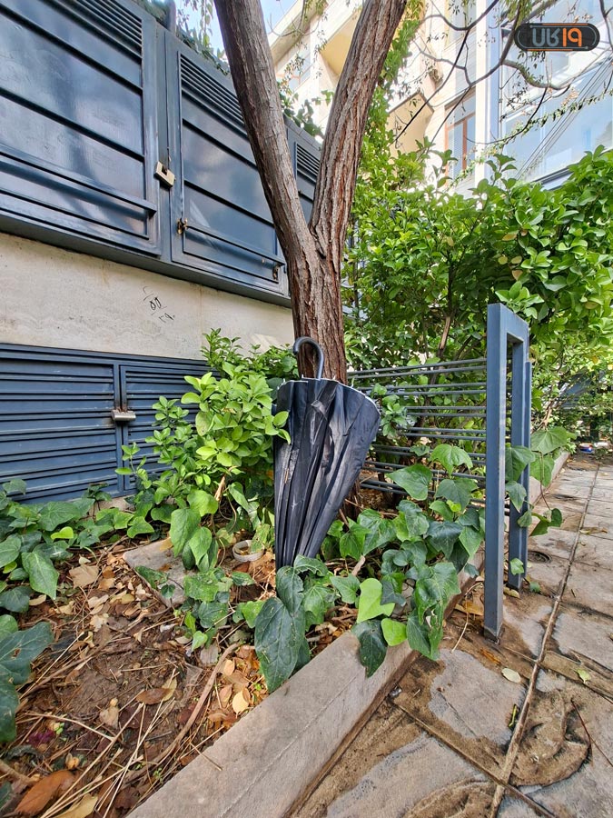 عملکرد دوربین a56 در روز